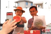 四柱配对（乡村行·看振兴）江西安福“小西瓜”撬动乡村共富“大支点”