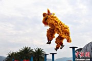 四柱配对（文化中国行）壮乡狮舞闯南洋：脚踏“云桩” 饮誉海内外